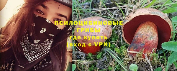 спайс Алзамай