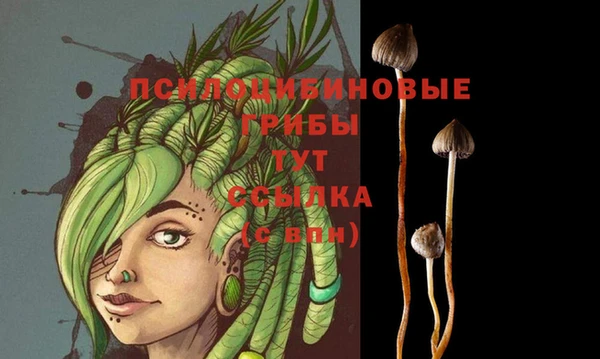 спайс Алзамай