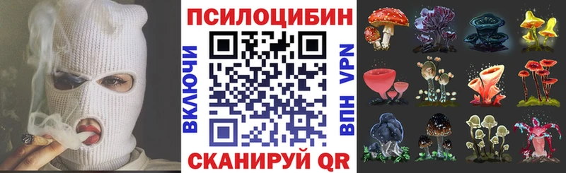 Псилоцибиновые грибы мицелий  Жирновск 