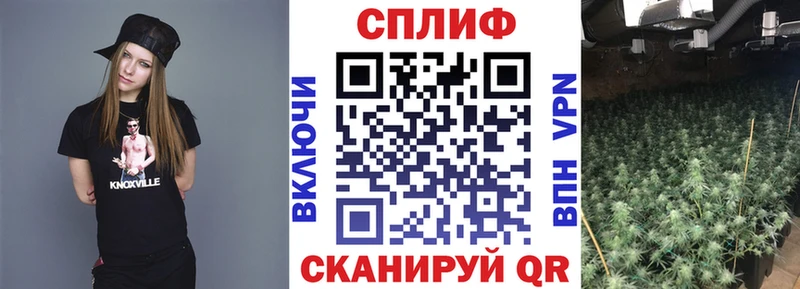 Бошки марихуана Amnesia  где купить   кракен зеркало  Жирновск 